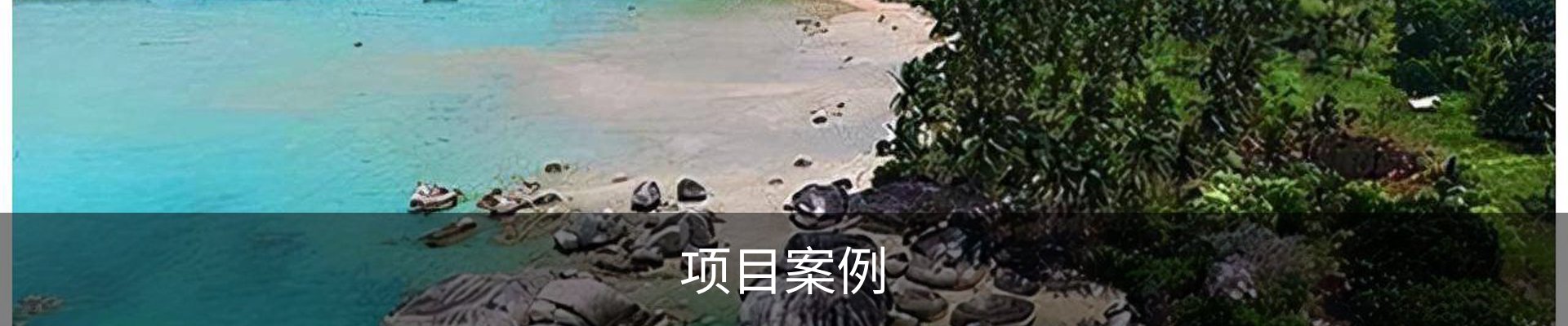 项目案例